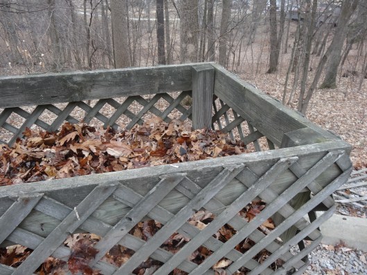 step 5, final leaf layer