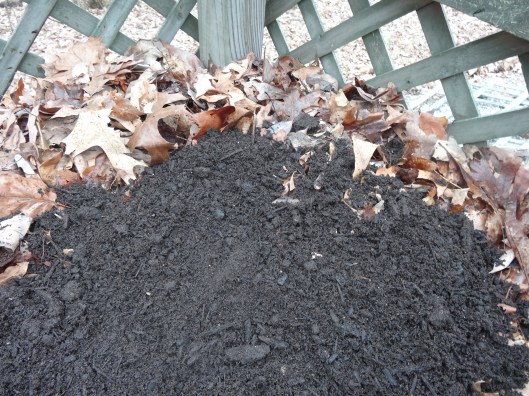 step 6, adding a soil layer